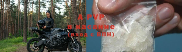 спиды Абаза