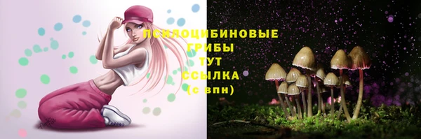 эйфоретик Абинск