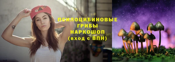 эйфоретик Абинск