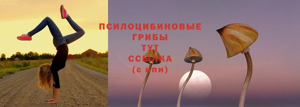 марки lsd Рославль