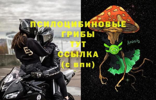 спиды Абаза