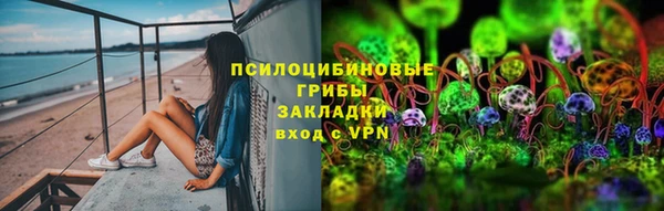 спиды Абаза