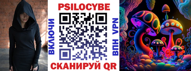 Галлюциногенные грибы Psilocybine cubensis Кизляр