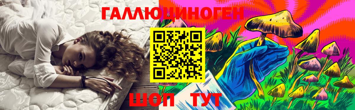 Галлюциногенные грибы Psilocybine cubensis Кизляр